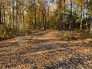 Участок 7 соток