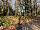 Участок 7 соток