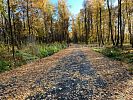 Участок 7 соток