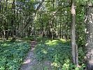 Участок 5 соток