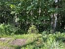 Участок 13 соток
