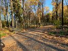 Участок 7 соток