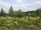 Участок 5 соток