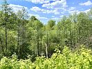 Участок 11 соток