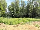 Участок 7 соток