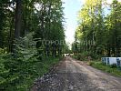 Участок 7 соток