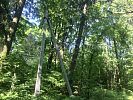 Участок 7 соток