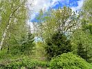 Участок 5 соток