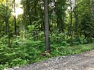 Участок 7 соток