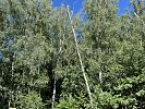 Участок 5 соток