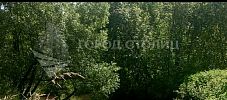 Участок 6 соток