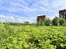 Участок рядом с МЦД-2 4 сотки
