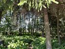 Участок 17 соток