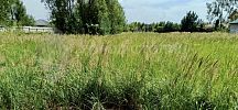 Отличное место!!! 8 соток