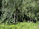 Участок 5 соток